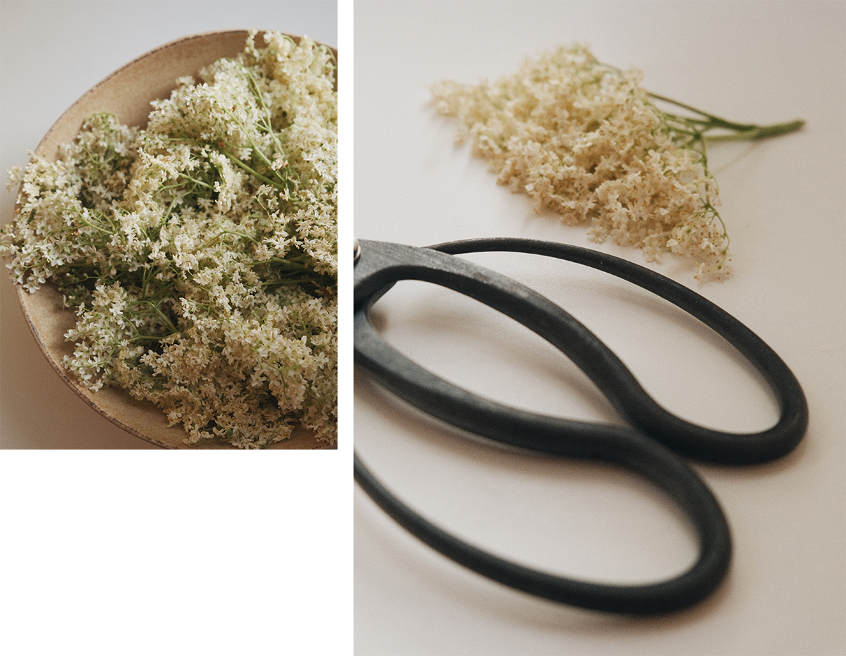 TT_BLOG_HARVEST